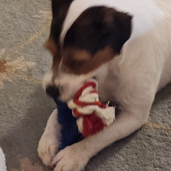 @bethybd LIVE "LIKE" for Notices Of My Shows - Picture 15 of 16